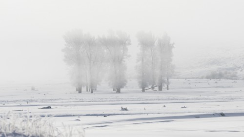 Morgendunst   (Klicken zum öffnen)