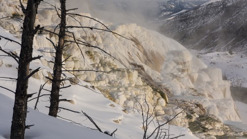 Sinterterrasse Mammoth Hot Springs   (Klicken zum öffnen)