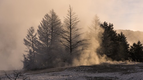 Morgenstimmung, Mammoth Hot Springs   (Klicken zum öffnen)