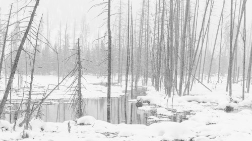 Winterlandschaft in schwarz weiss   (Klicken zum öffnen)