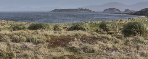 Tussok Landschaft   (Klicken zum öffnen)