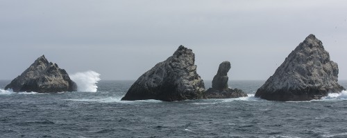 Shag Rocks ca. 250 Kilometer westlich von South Georgia   (Klicken zum öffnen)