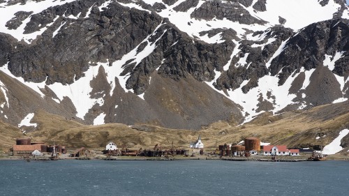 Ehemalige norwegische Walfangstation Grytviken   (Klicken zum öffnen)