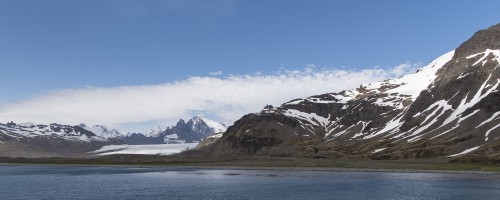 Auf South Georgia gibt es 160 Gletscher, die bis ans Meer reichen   (Klicken zum öffnen)