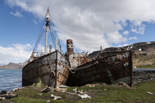 Ausgediente Walfänger, Grytviken   (Klicken zum öffnen)