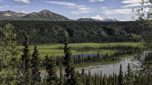 Denali Highway   (Klicken zum öffnen)