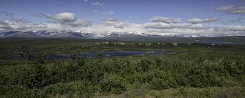 Blick auf die Brooks Range bei Delta Junction   (Klicken zum öffnen)