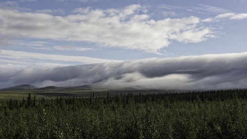 Morgennebel, Dempster Highway   (Klicken zum öffnen)