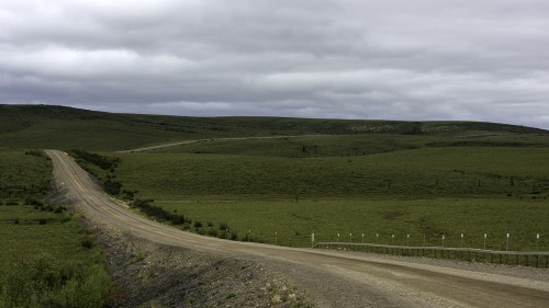 Nördlich des Polarkreises wachsen keine Bäume mehr, Dempster Highway   (Klicken zum öffnen)