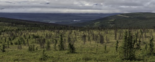 Bei Eagle Plains, Dempster Highway   (Klicken zum öffnen)