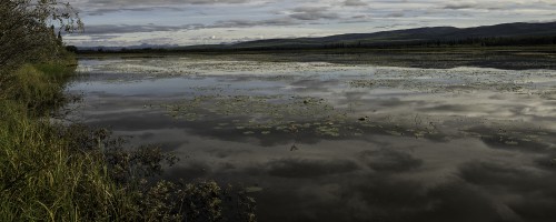 Gravel Lake, Klondyke Highway   (Klicken zum öffnen)