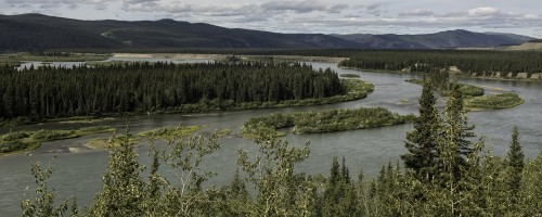 Yukon River, kurz nach den Five Finger Rapids, Klondyke Highway   (Klicken zum öffnen)