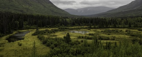 Beim Million Dollar Falls Campground, Haines Highway   (Klicken zum öffnen)