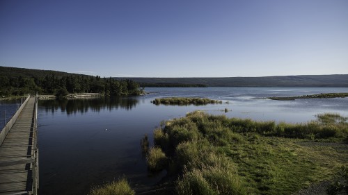 Brook River und Naknek Lake mit der oft wegen Bären gesperrten Schwimmbrücke   (Klicken zum öffnen)