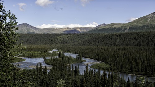 Denali Highway   (Klicken zum öffnen)