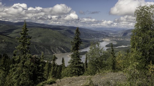 Yokon River vom Midnight Dome aus gesehen   (Klicken zum öffnen)