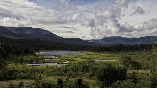 Alaska Highway   (Klicken zum öffnen)