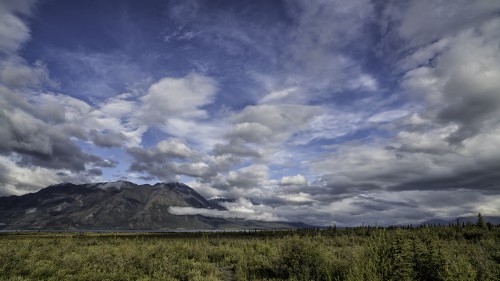 Bei Destruction Bay, Kluane Lake, Alaska Highway   (Klicken zum öffnen)