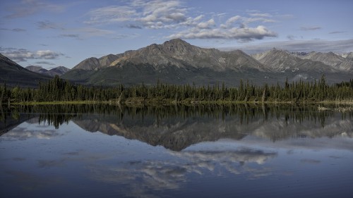 Alaska Highway südlich von Tok   (Klicken zum öffnen)