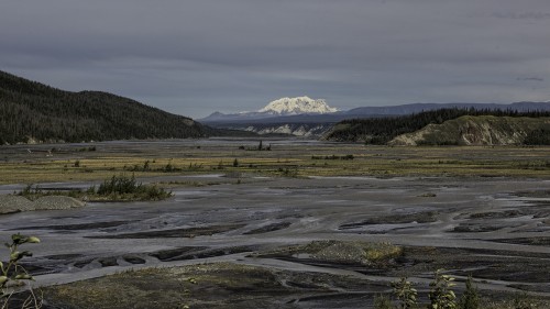 Denali   (Klicken zum öffnen)