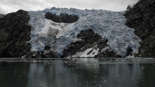 Northwest Glacier, Kenai Fjord   (Klicken zum öffnen)