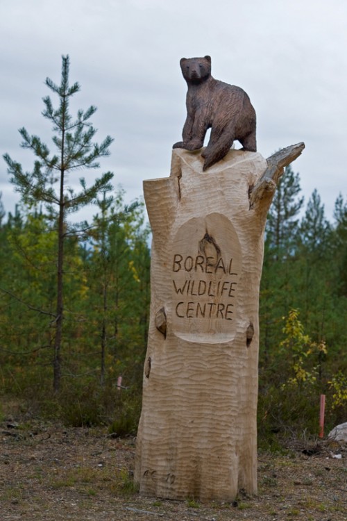 Boreal Wildlife Center   (Klicken zum öffnen)