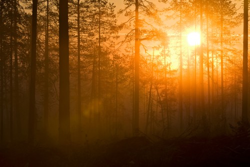 Sunrise   (Klicken zum öffnen)