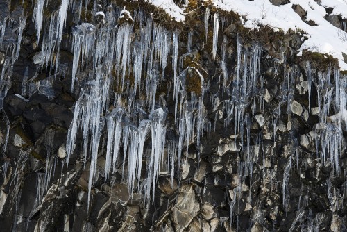 Eiszapfen vor Basaltformationen   (Klicken zum öffnen)