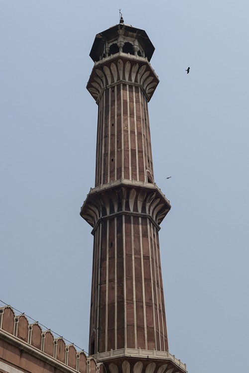 Minarett der Jama Masjid, erbaut 1644 - 1658 durch Shah Jahan   (Klicken zum öffnen)