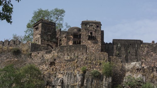 Fort Ranthambore   (Klicken zum öffnen)