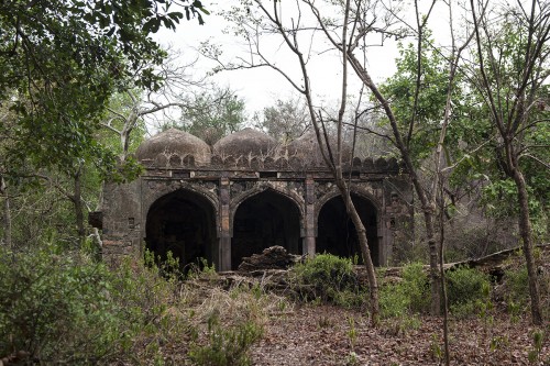 Ehemaliger Jagdpalast des Maharadschas von Jaipur, Ranthambore   (Klicken zum öffnen)