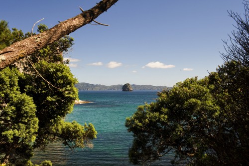 Te Pare Point, Coromandel Peninsula   (Klicken zum öffnen)