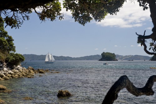 Segler in der Cook-Bay, Coromandel Peninsula   (Klicken zum öffnen)