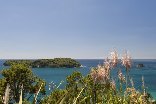 Hahei Beach   (Klicken zum öffnen)