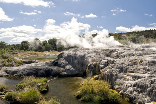 Geysire im Whakarewarewa Thermal Valley bei Rotorua   (Klicken zum öffnen)