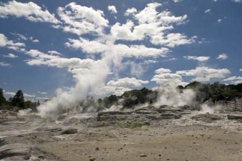 Geysire im Whakarewarewa Thermal Valley bei Rotorua   (Klicken zum öffnen)