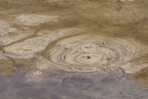 Mud Pool im Stadtpark von Rotorua   (Klicken zum öffnen)