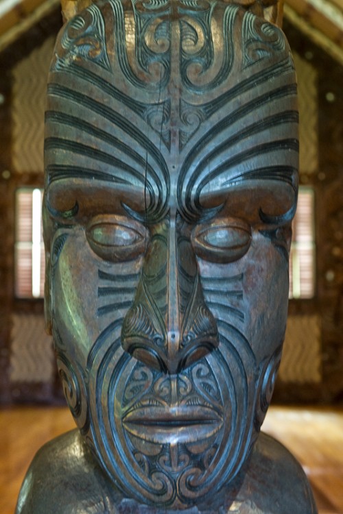 Büste eines Maori Chief, Te Puia   (Klicken zum öffnen)