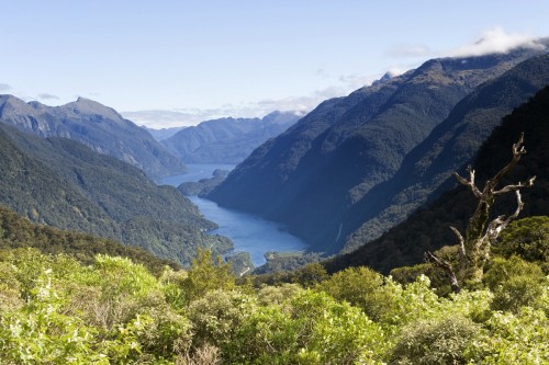 Doubtful Sound   (Klicken zum öffnen)