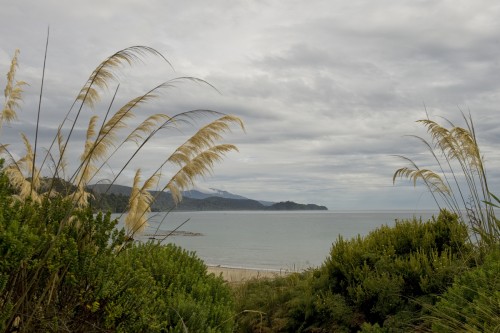 Auf Stewart Island   (Klicken zum öffnen)