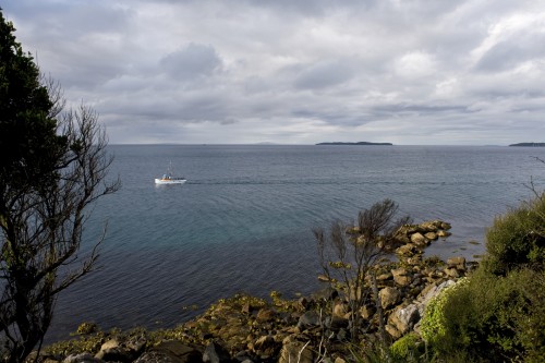 Stewart Island   (Klicken zum öffnen)