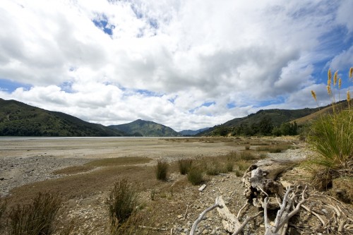 Bei Havelock   (Klicken zum öffnen)