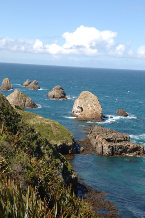 Catlins Coast   (Klicken zum öffnen)