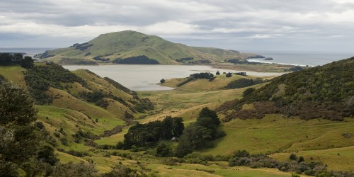 Bei Larnach Castle, Otago Peninsula   (Klicken zum öffnen)