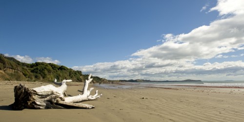 Beach bei den Moeraki Boulders   (Klicken zum öffnen)