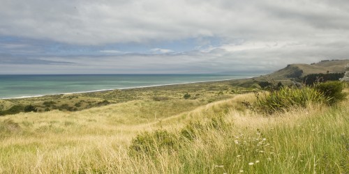 Paparoa Point, auf dem Weg nach Kaikoura   (Klicken zum öffnen)