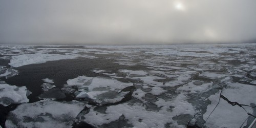 81° Nord   (Klicken zum öffnen)