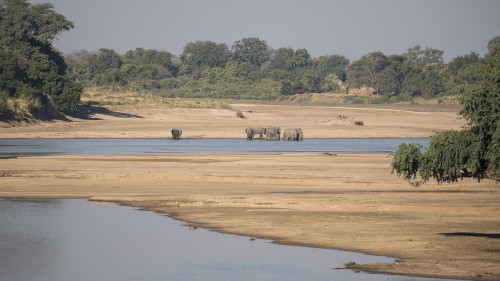 Elephant pool   (Klicken zum öffnen)