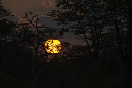 Sunrise   (Klicken zum öffnen)