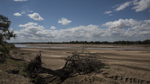 Der Luangwa führt zu jeder Jahreszeit wenigstens ein bisschen Wasser   (Klicken zum öffnen)